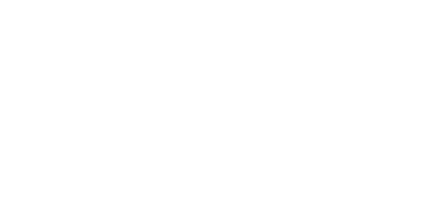 Boston Dynamics